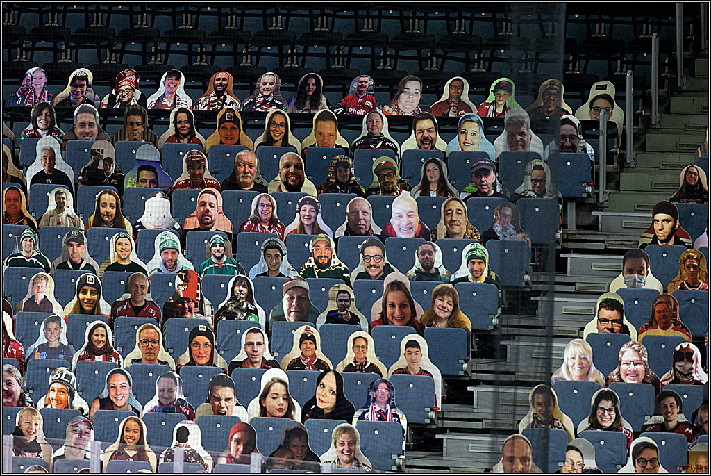 PENNY DEL;  Koelner Haie - Fischtown Pinguins Bremerhaven; Koeln, 12.02.2021